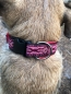 Preview: Halsband, passgenau, 4cm breit